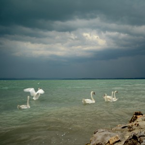 balaton_147