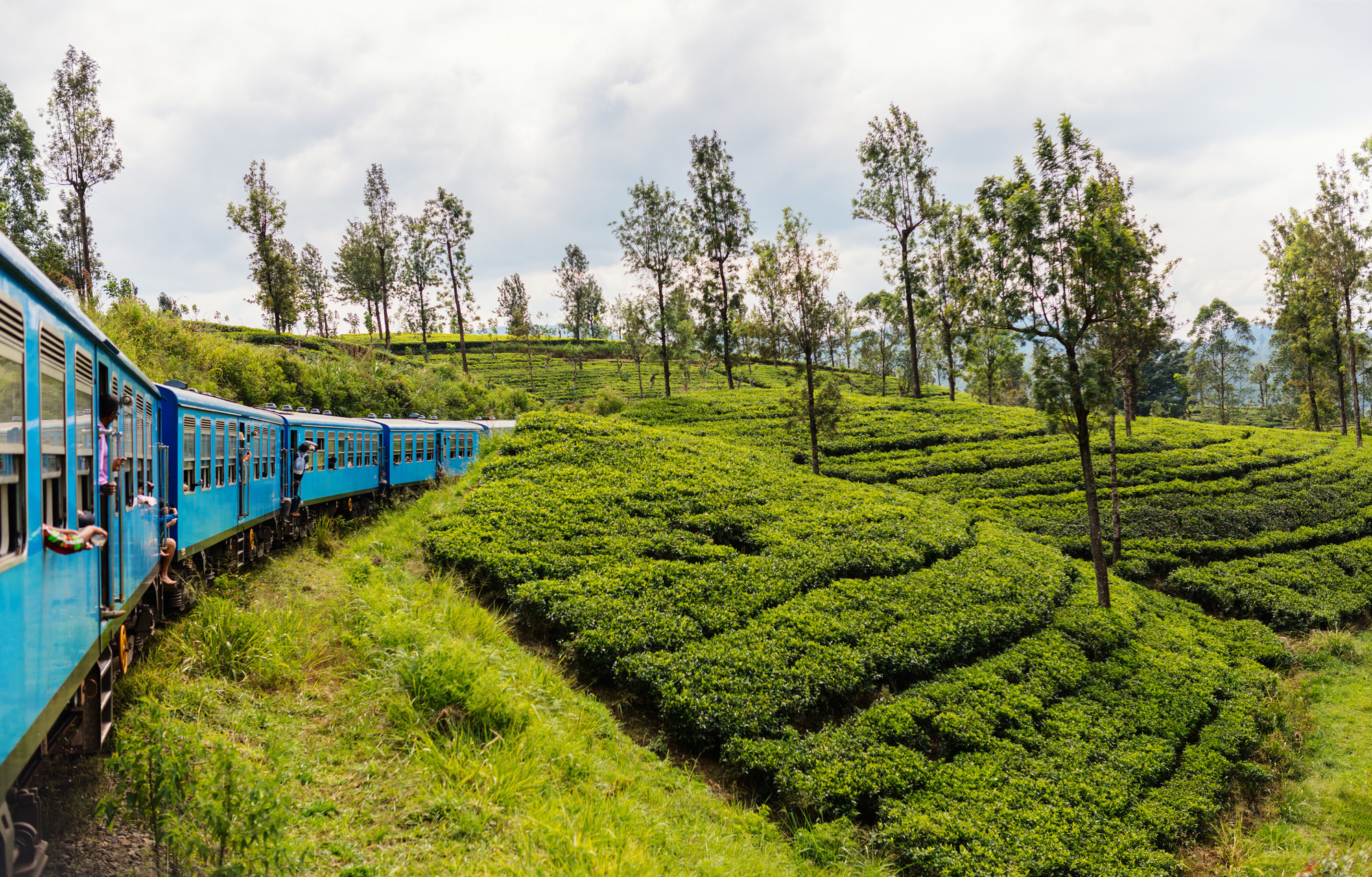 7 Reasons Why Holidaying in Sri Lanka Saves You Money - SpaDreamsTrain ride from Ella to Kandy among tea plantations in the highlands of Sri Lanka.