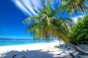 Shade on the beach in maldives