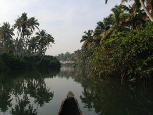 Backwaters tour