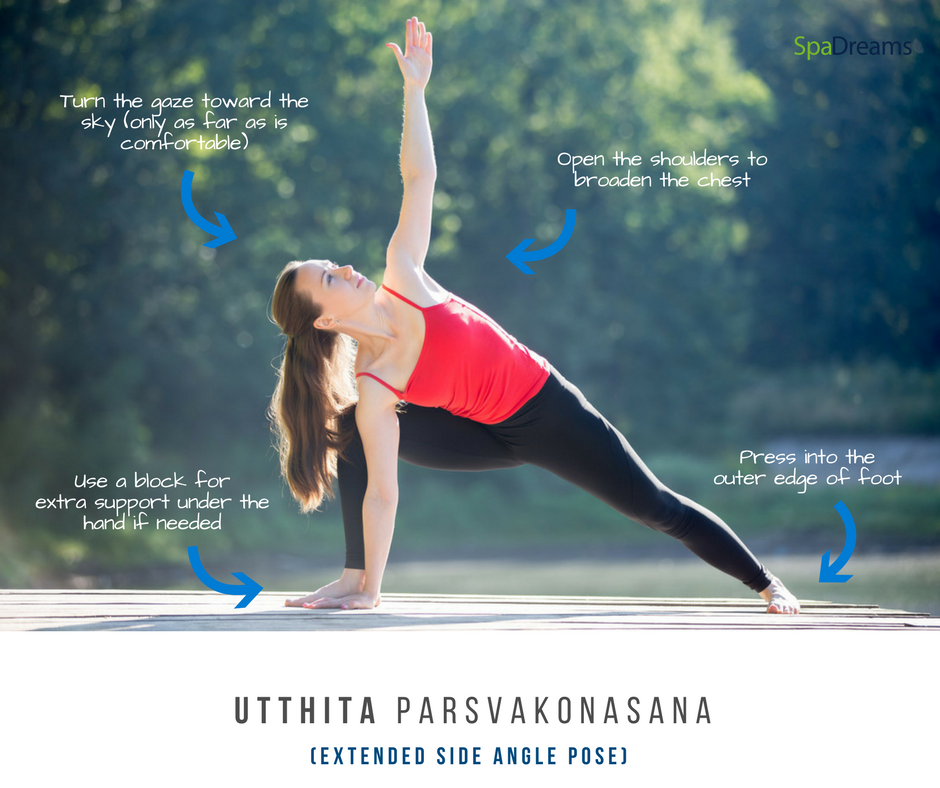 Triangle Pose (Utthita Trikonasana) — Trisha Durham