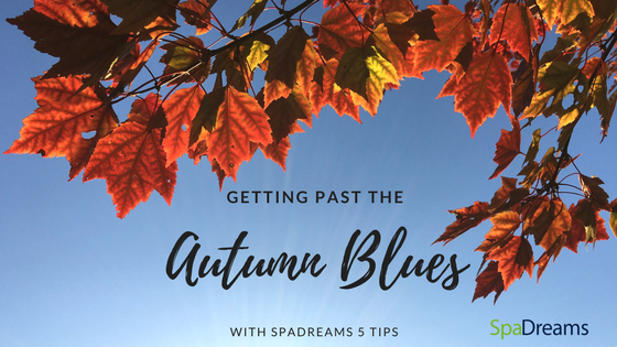 Autumn Blues Cover for Blog