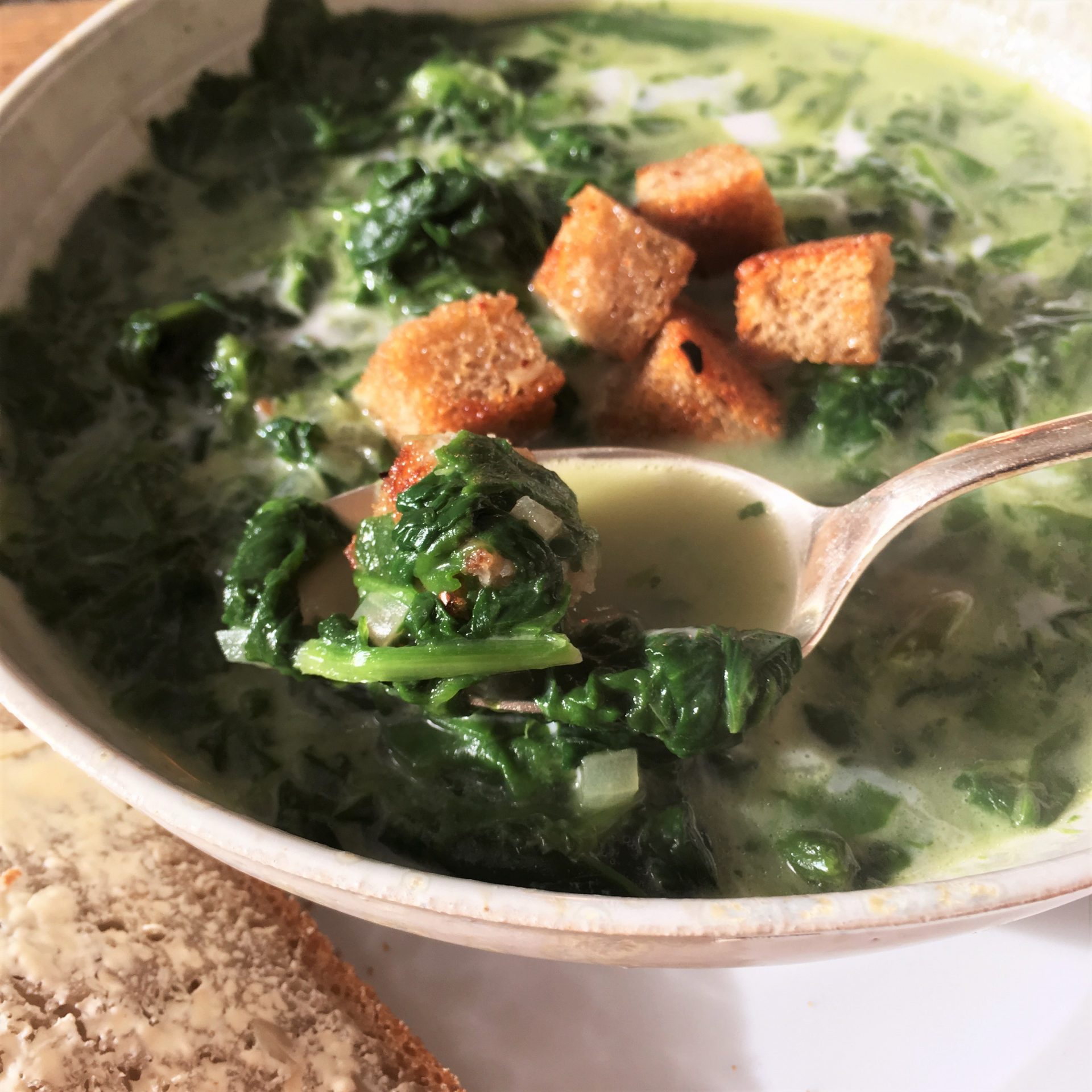 Spinach and Coconut Ayurveda Soup for your Cozy Night-ina soup