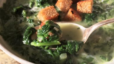 Spinach and Coconut Ayurveda Soup for your Cozy Night-ina soup