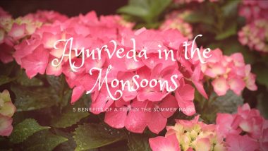 Ayurveda in monsoons image of flowers in the rain