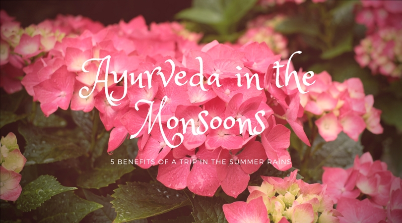 Ayurveda in monsoons image of flowers in the rain