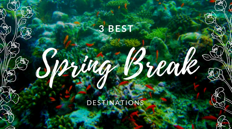 3 best spring break destinations