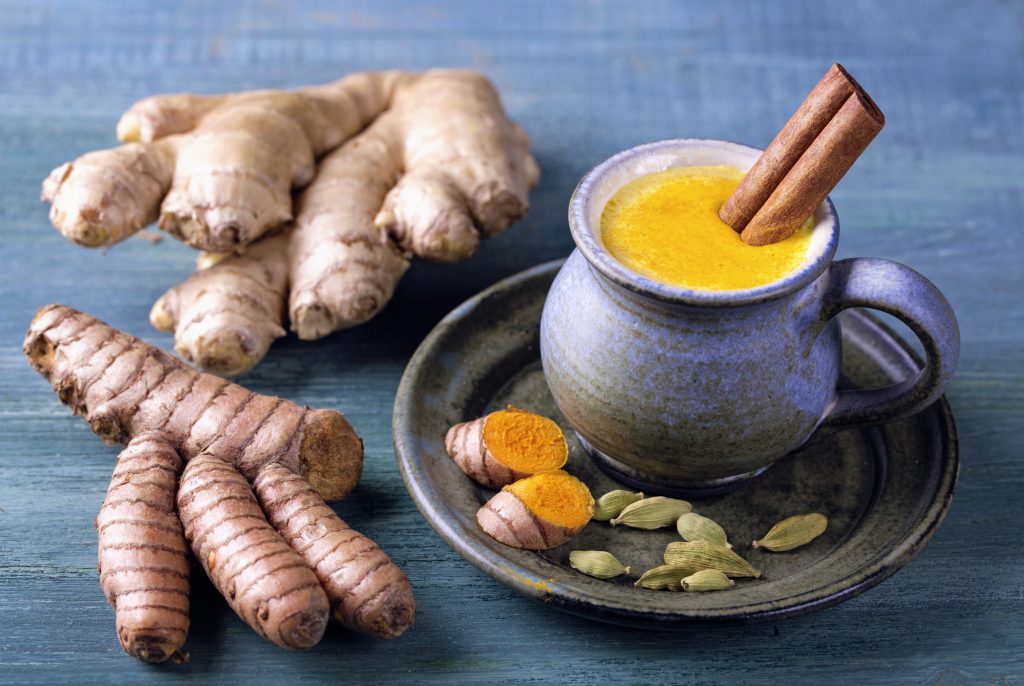 Golden milk in a blue cup left of two ginger roots for weight loss with Ayurveda